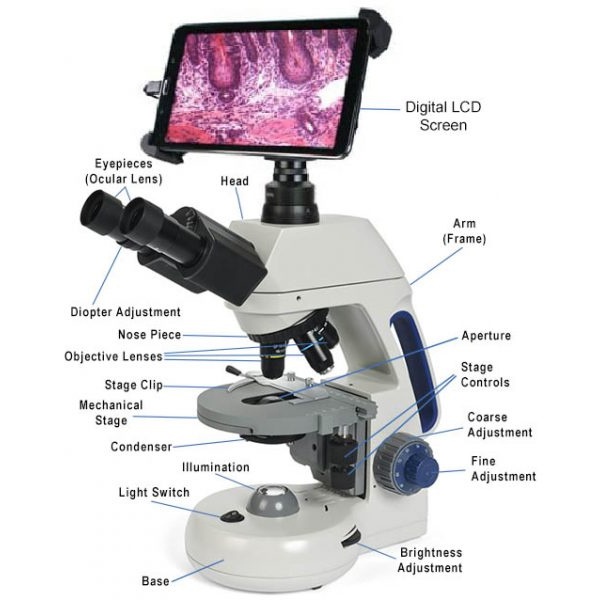 Labeled Parts of a Digital Microscope