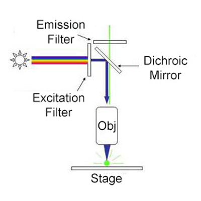 How does fluorescence work?