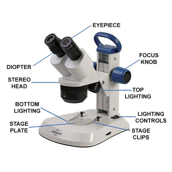 Labeled Parts of a Stereo Microscope